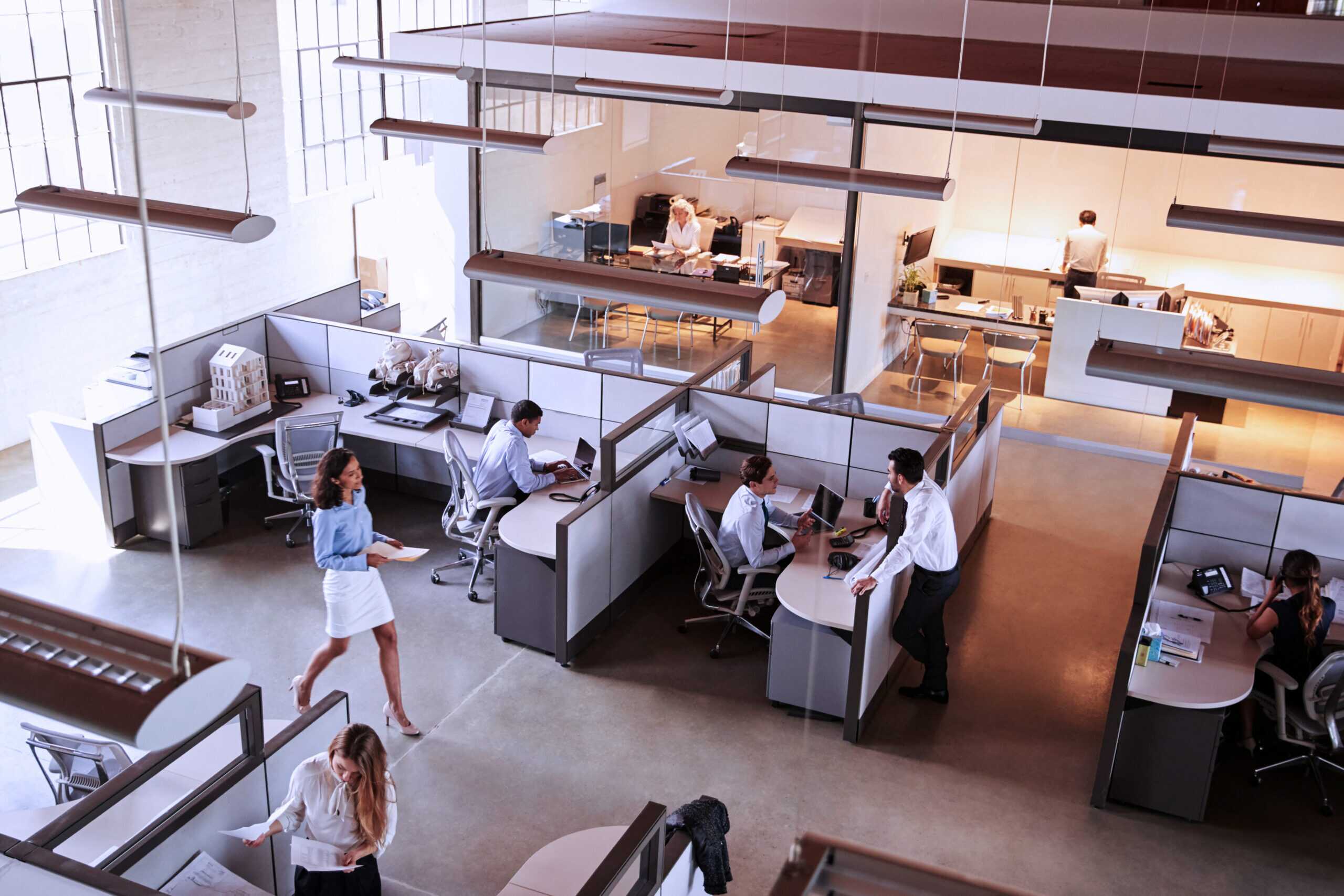 Photograph of a modern open-plan office with multiple cubicles and employees working and interacting.