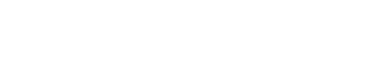 Netapp Logo