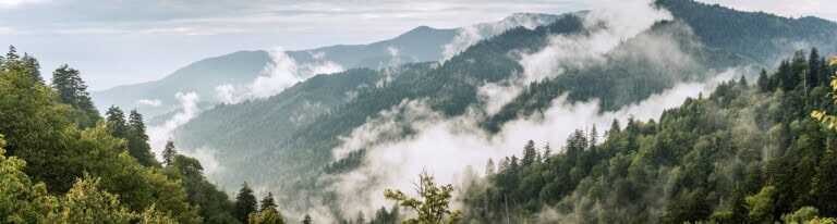 Panorama View Of Foggy Forest In Smoky Mountains National Park A