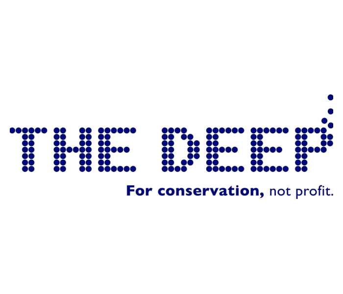The Deep Thumbnail
