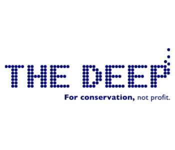 The Deep Thumbnail